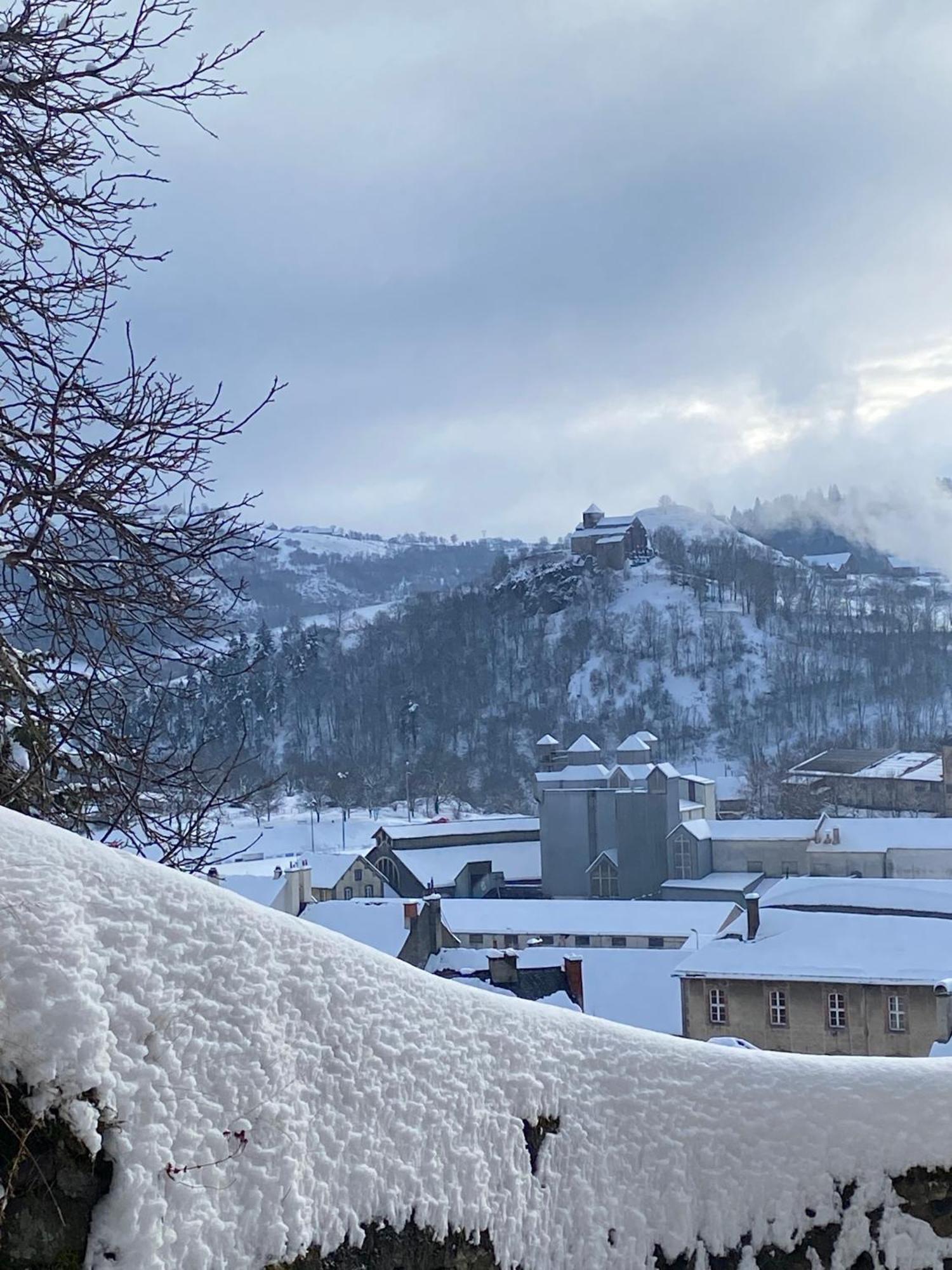 Charmant Appartement Au Coeur Des Volcans D Auvergne Мюра Экстерьер фото
